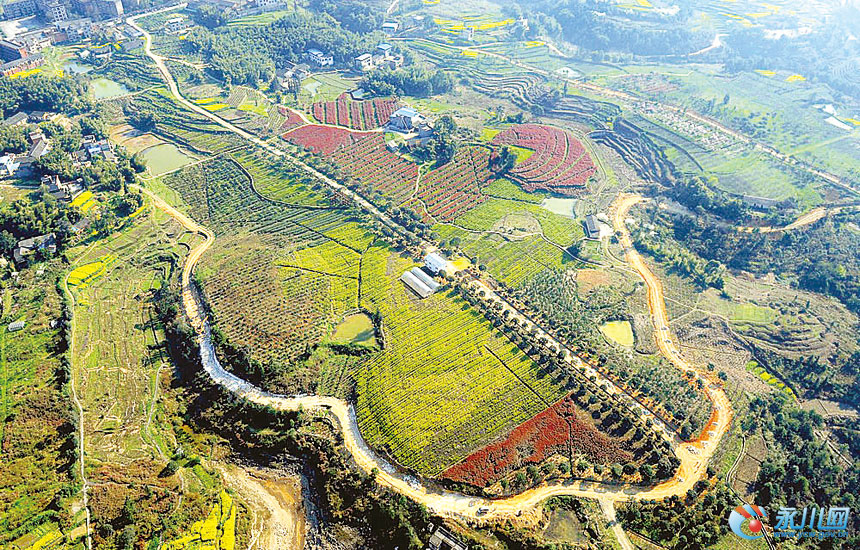 一个形如吉他的园林