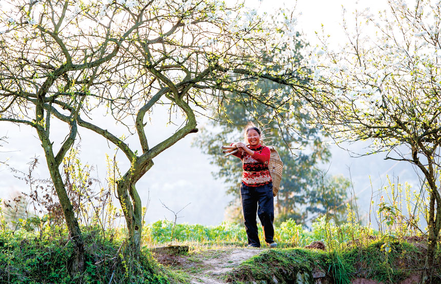 《春意盎然》钟淳厚