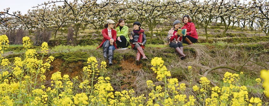 《花海畅想》张维影