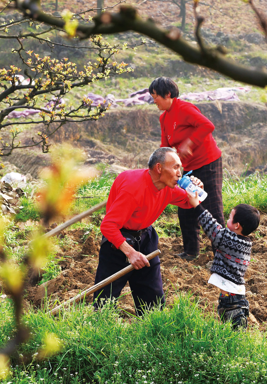 《情系爷孙》杨光明