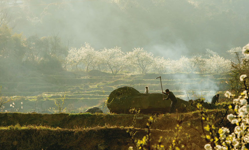 《人勤春早》钟淳厚-