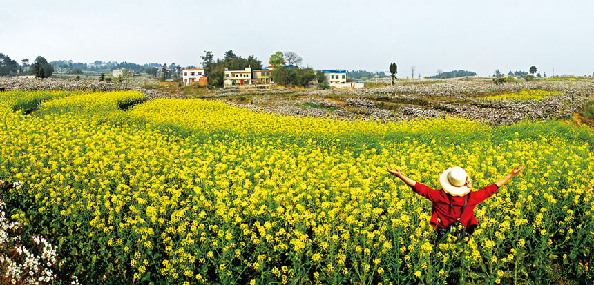 《我的家乡》肖体海