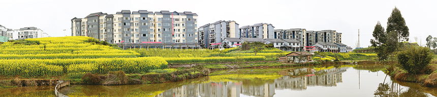 春水 刘洪兵摄于三教镇