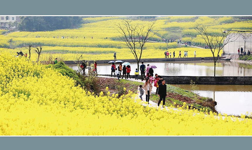 春归 彭刚摄于青峰镇