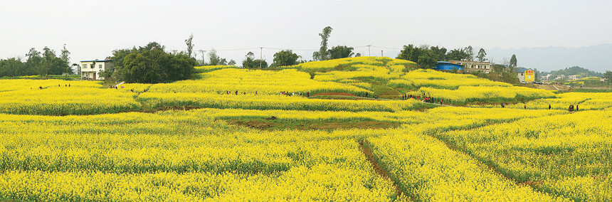 春景 鲁思刚摄于青峰镇