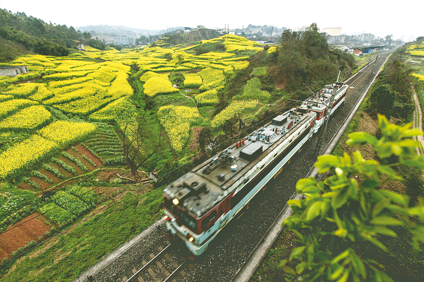 春曲 周兴健摄于胜利路街道