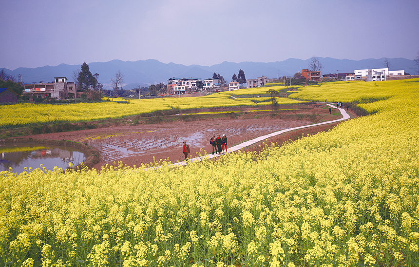 春色 周晓东摄于青峰镇