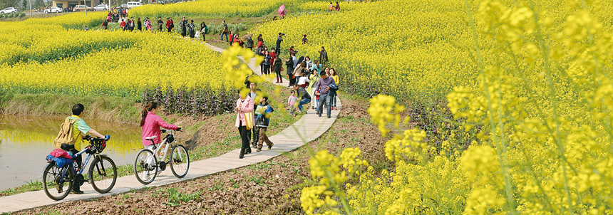 游春 张维影摄于青峰镇 