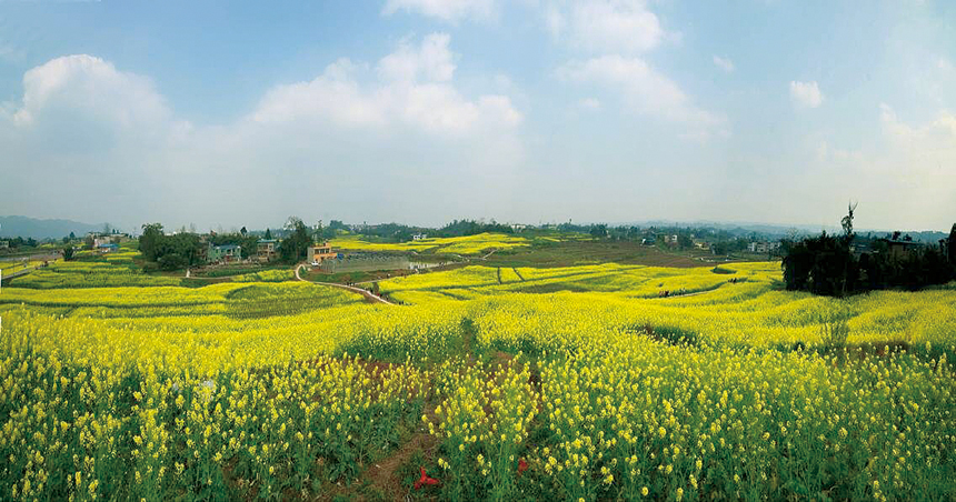 闹春 王泳寅摄于青峰镇